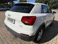 Audi Q2 1.0 TFSI ultra, 6-Gang Weiß - thumbnail 4