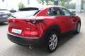 Mazda CX-30 2024 M-Hybrid Exclusive-Line X-186 AT DASO *Sofort Rot - thumbnail 5