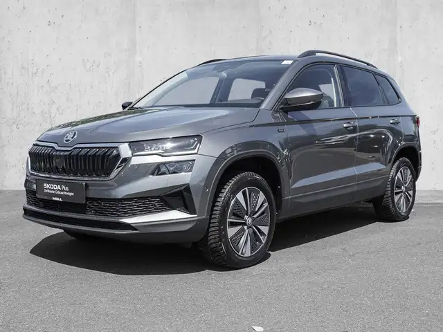 Skoda Karoq view 2