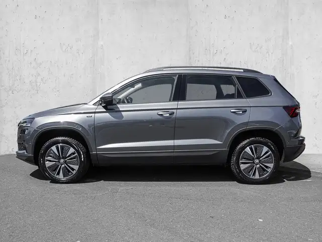 Skoda Karoq view 5