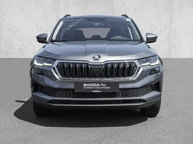 Skoda Karoq view 3