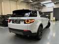 Land Rover Discovery Sport TD4 150PK SE Weiß - thumbnail 8