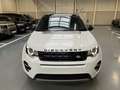Land Rover Discovery Sport TD4 150PK SE Weiß - thumbnail 3