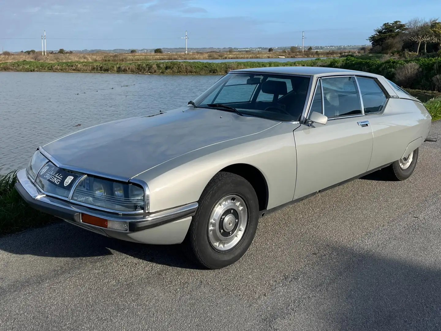 Citroen SM Carburateur Silber - 2