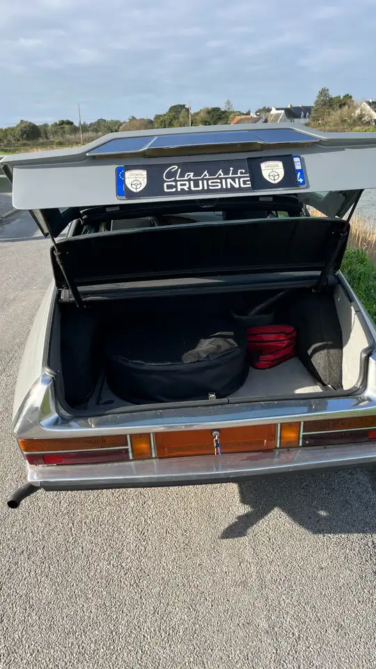 Citroen SM Carburateur, foto 12