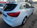 Kia Ceed / cee'd Sportswagon*Klima*SHZ*Freispr*TÜV NEU Weiß - thumbnail 8