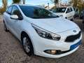 Kia Ceed / cee'd Sportswagon*Klima*SHZ*Freispr*TÜV NEU Weiß - thumbnail 2
