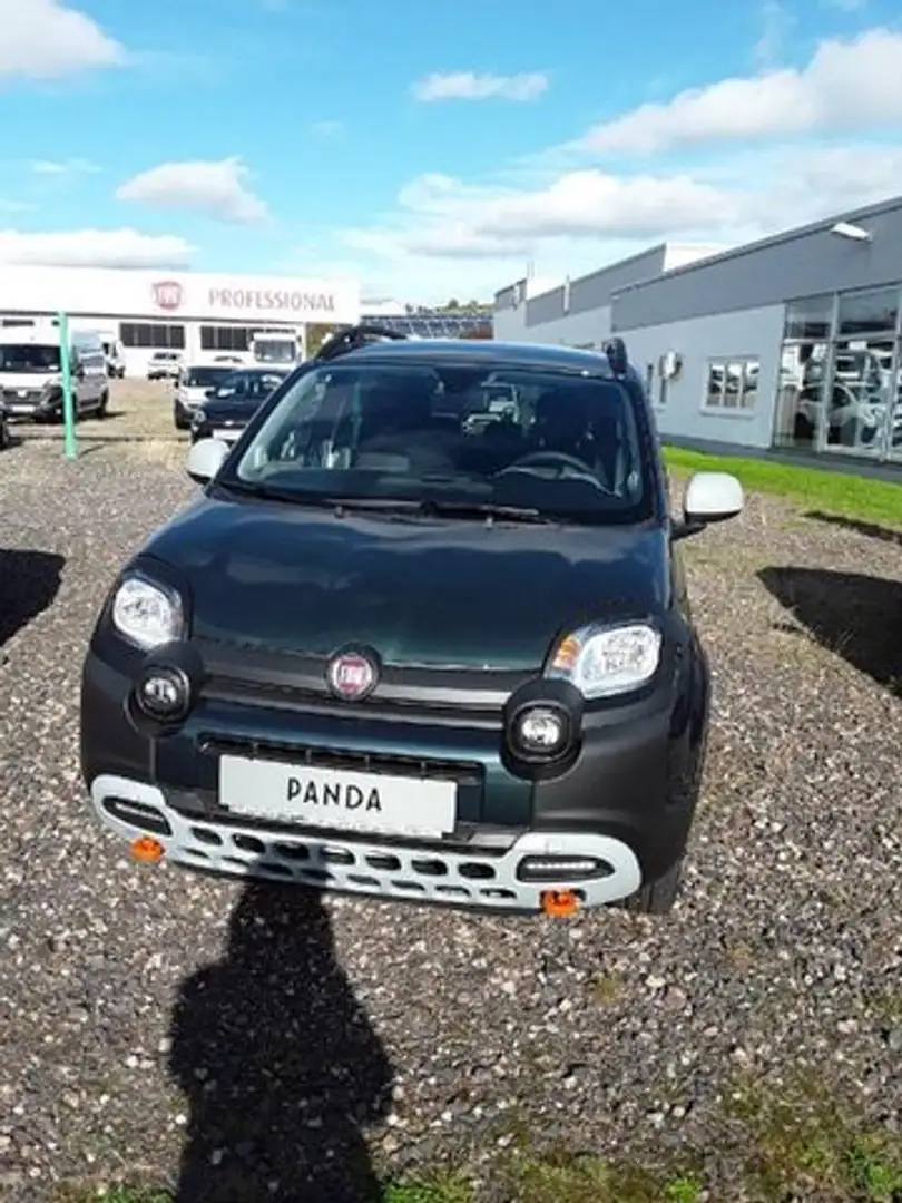 Fiat Panda Panda Garmin Grün - 1