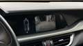 Alfa Romeo Stelvio Veloce Q4 210cv auto Grigio - thumbnail 14