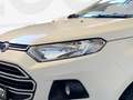 Ford EcoSport 1.5 tdci Plus 95cv E6 Bianco - thumbnail 24