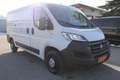 Fiat Ducato  KW L2H1 Weiß - thumbnail 3