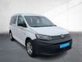 Volkswagen Caddy 1.5 TSI GRA PDC DAB Weiß - thumbnail 5
