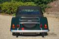 Morgan Plus 8 3.9 V8 "25.500 miles" Low kilometres. Full service Vert - thumbnail 6