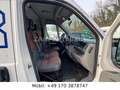 Fiat Ducato Hochr.-Kasten 30 120*1HAND*AHK Weiß - thumbnail 16