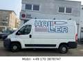 Fiat Ducato Hochr.-Kasten 30 120*1HAND*AHK Weiß - thumbnail 8