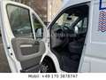 Fiat Ducato Hochr.-Kasten 30 120*1HAND*AHK Weiß - thumbnail 15