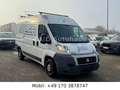 Fiat Ducato Hochr.-Kasten 30 120*1HAND*AHK Weiß - thumbnail 3