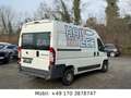Fiat Ducato Hochr.-Kasten 30 120*1HAND*AHK Weiß - thumbnail 5