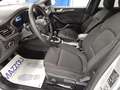 Ford Focus 1.5 EcoBlue 115 CV automatico 5p. ST-Line Argento - thumbnail 7