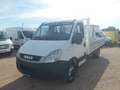 Iveco Daily 3.0 TDI 35c18 cassone fisso BELLISSIMO!!! Weiß - thumbnail 1