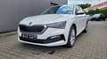 Skoda Scala Ambition Ambition*LED*Shzg*PDC*Cam*16Zoll*AppCo... Weiß - thumbnail 1