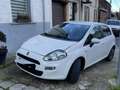 Fiat Punto 1.3 MultiJet Street Weiß - thumbnail 3