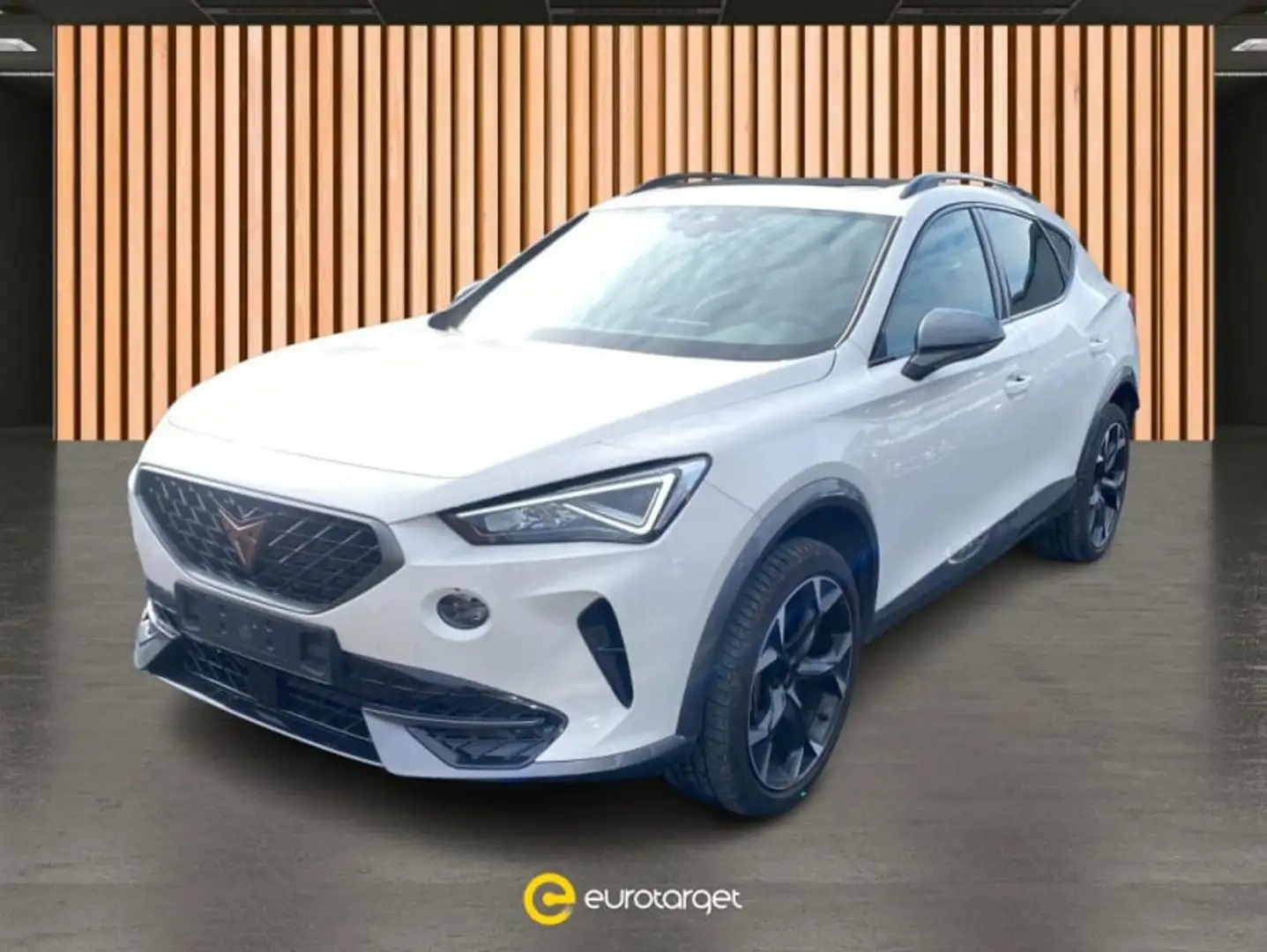 CUPRA Formentor 2.0 TSI 4Drive DSG Bianco - 1