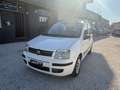 Fiat Panda 1.2 Dynamic Blanco - thumbnail 1