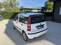 Fiat Panda 1.2 Dynamic Blanco - thumbnail 9