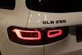 Mercedes-Benz GLB 250 GLB 250 4-MATIC Weiß - thumbnail 27