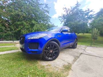 DF variante B
