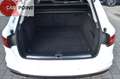 Audi A4 S line *Kam*AHK*LED*Navi*StandHZ*ACC*Keyless Weiß - thumbnail 9