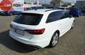 Audi A4 S line *Kam*AHK*LED*Navi*StandHZ*ACC*Keyless Weiß - thumbnail 5