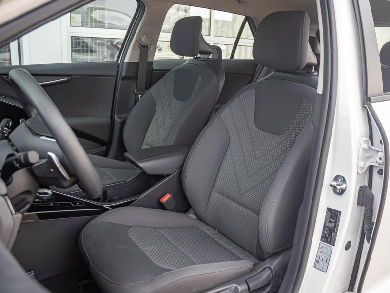 Kia e-Niro EV Light Edition 64.8 kWh l SOH 98.8% | Navigatie — photo 10