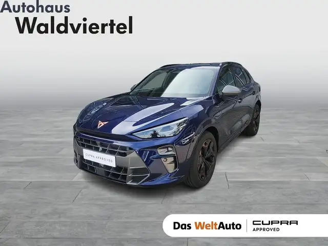 Cupra Terramar main image