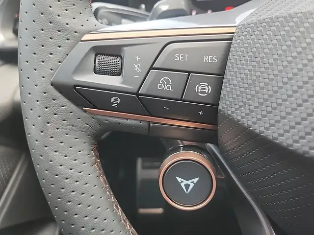 Cupra Terramar view 11