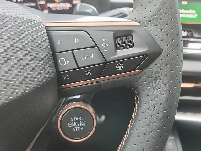 Cupra Terramar view 13