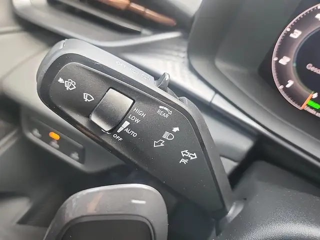 Cupra Terramar view 12