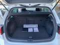 Volkswagen Golf 1.5 TSI Evo Sport DSG7 110kW Blanco - thumbnail 15