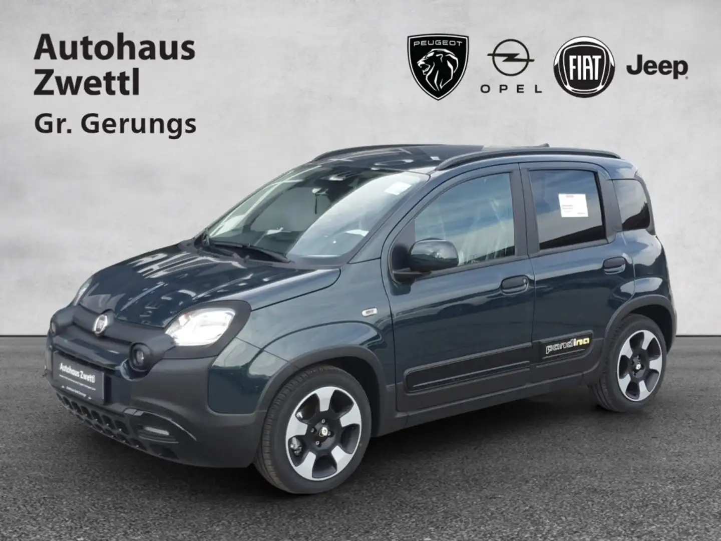 Fiat Panda Pandina  PT 70 Hybrid Vert - 1