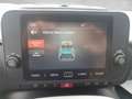 Fiat Panda Pandina  PT 70 Hybrid Vert - thumbnail 20