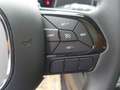 Fiat Panda Pandina  PT 70 Hybrid Vert - thumbnail 19