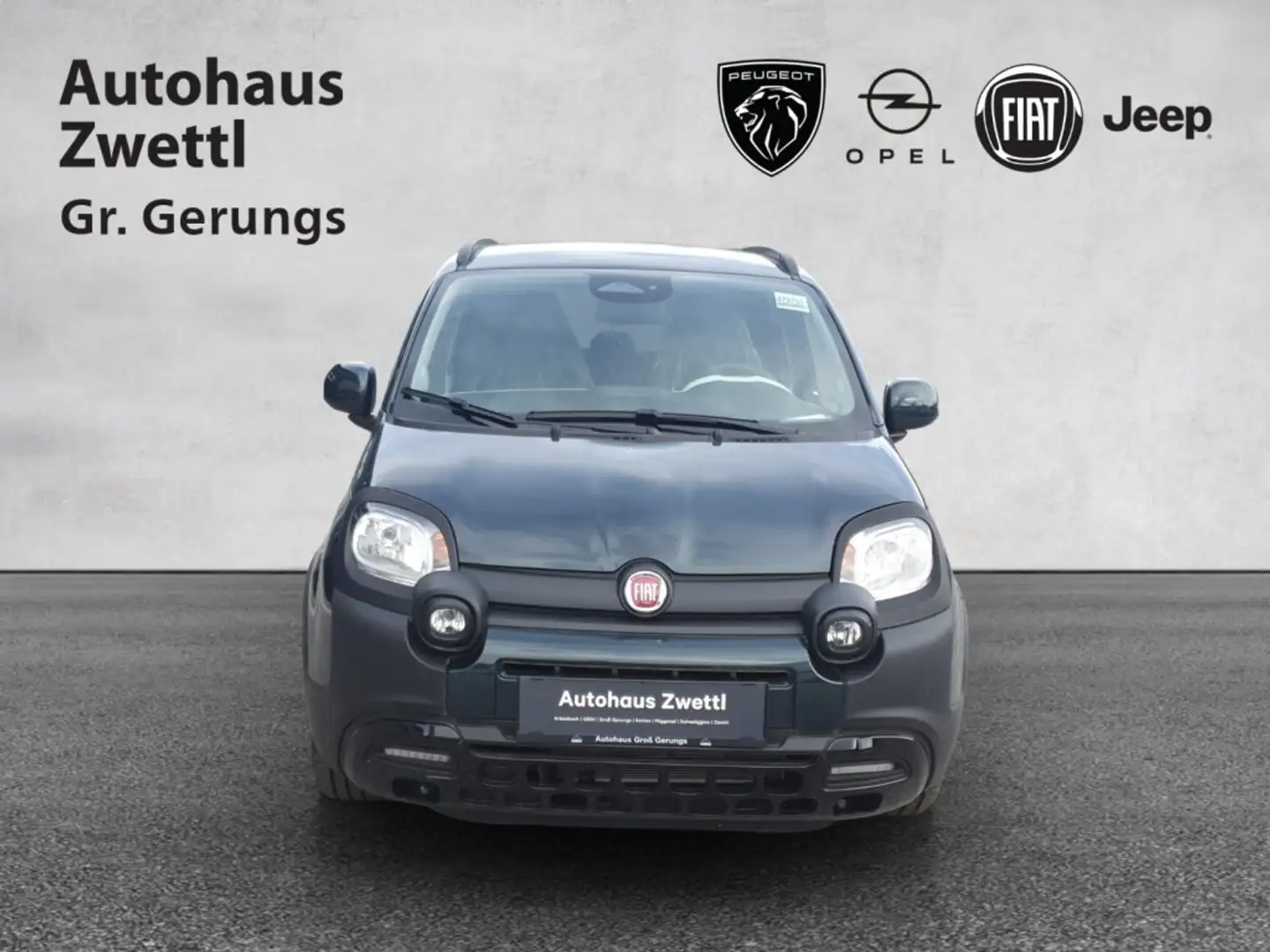 Fiat Panda Pandina  PT 70 Hybrid Vert - 2
