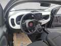 Fiat Panda Pandina  PT 70 Hybrid Vert - thumbnail 8
