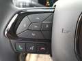 Fiat Panda Pandina  PT 70 Hybrid Grün - thumbnail 18