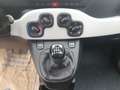 Fiat Panda Pandina  PT 70 Hybrid Vert - thumbnail 16