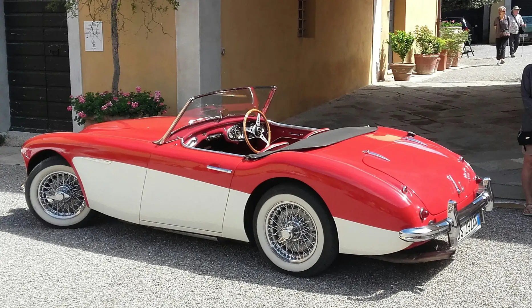 Austin-Healey 3000 - 1