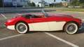 Austin-Healey 3000 - thumbnail 2