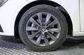 SEAT Leon 1.5 TSI 96kW (130CV) S&S Style Visio Ed - thumbnail 13