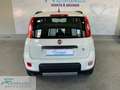 Fiat Panda Panda 0.9 TwinAir Turbo S&S 4x4 Bianco - thumbnail 5